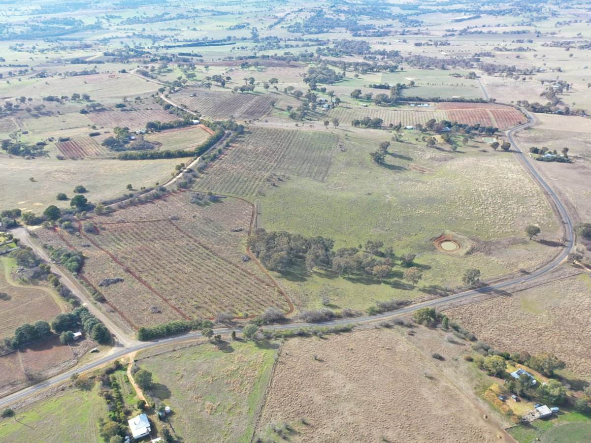 Lot 179,205 & 206, 463 Maimuru SS Road, Maimuru Sold by Farmbuy.com - image 6