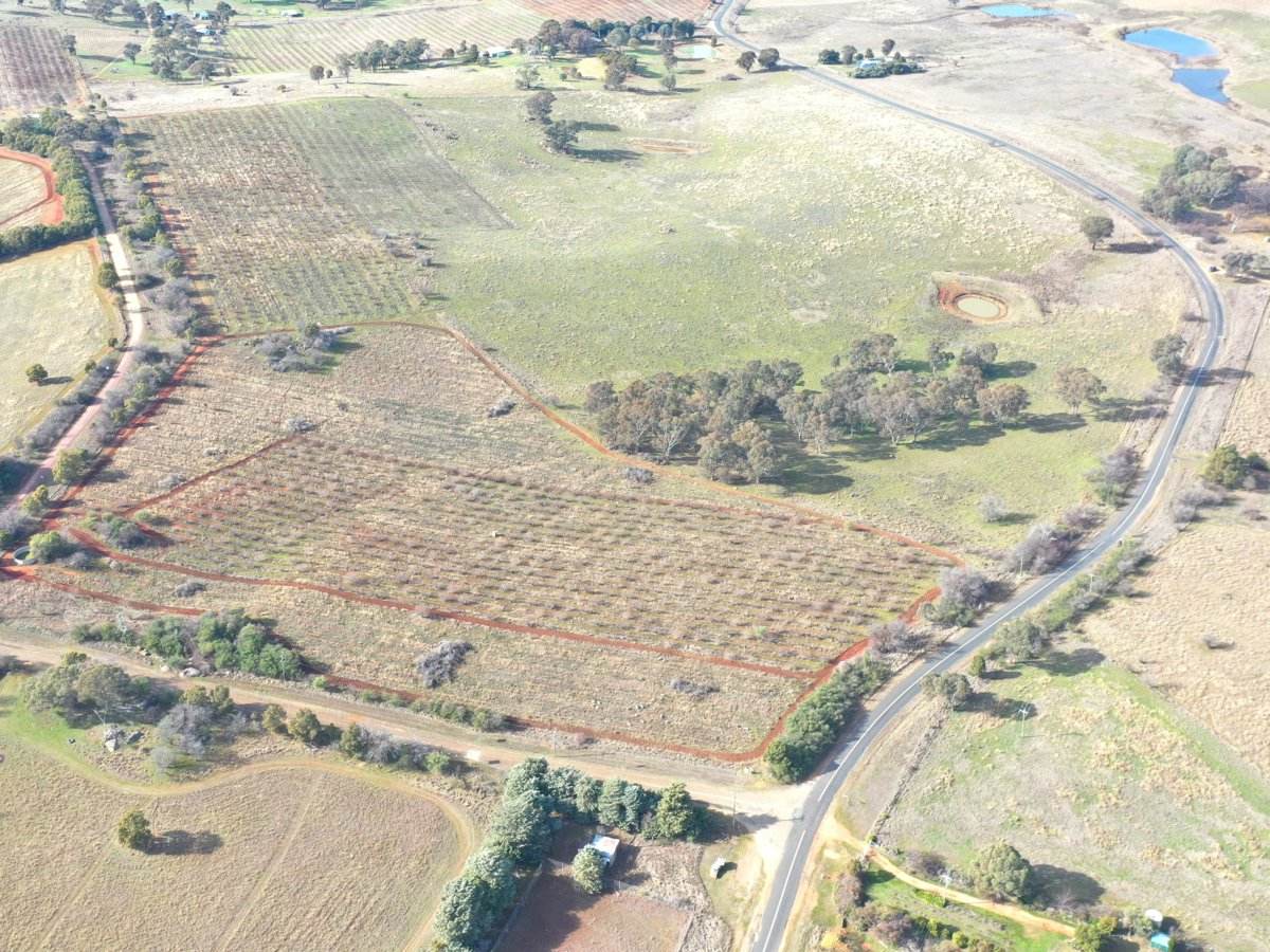 Lot 179,205 & 206, 463 Maimuru SS Road, Maimuru Sold by Farmbuy.com - image 4