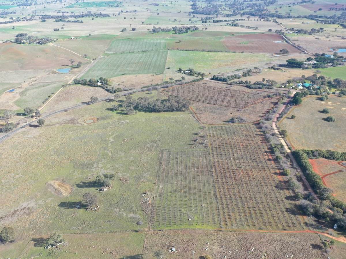 Lot 179,205 & 206, 463 Maimuru SS Road, Maimuru Sold by Farmbuy.com - image 5