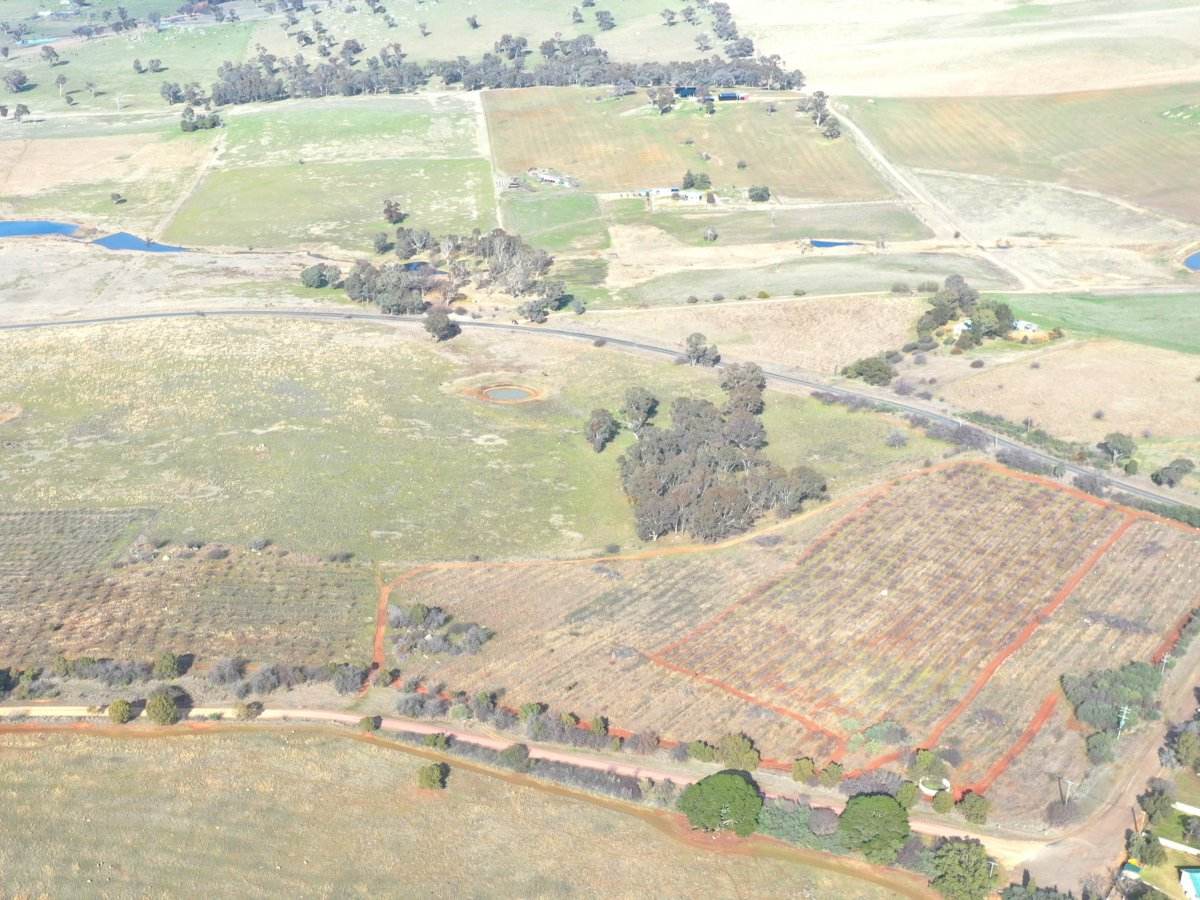 Lot 179,205 & 206, 463 Maimuru SS Road, Maimuru Sold by Farmbuy.com - image 2