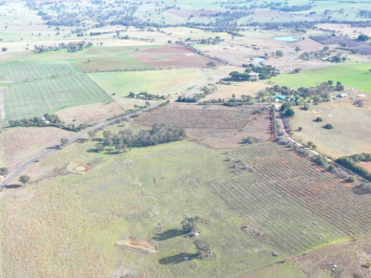 Lot 179,205 & 206, 463 Maimuru SS Road, Maimuru Sold by Farmbuy.com - image 3