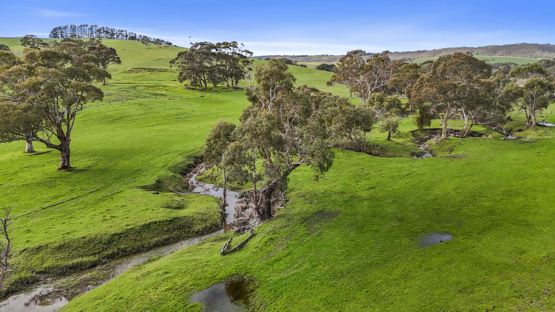 784 Back Valley Road, Back Valley For Sale by Farmbuy.com - image 11