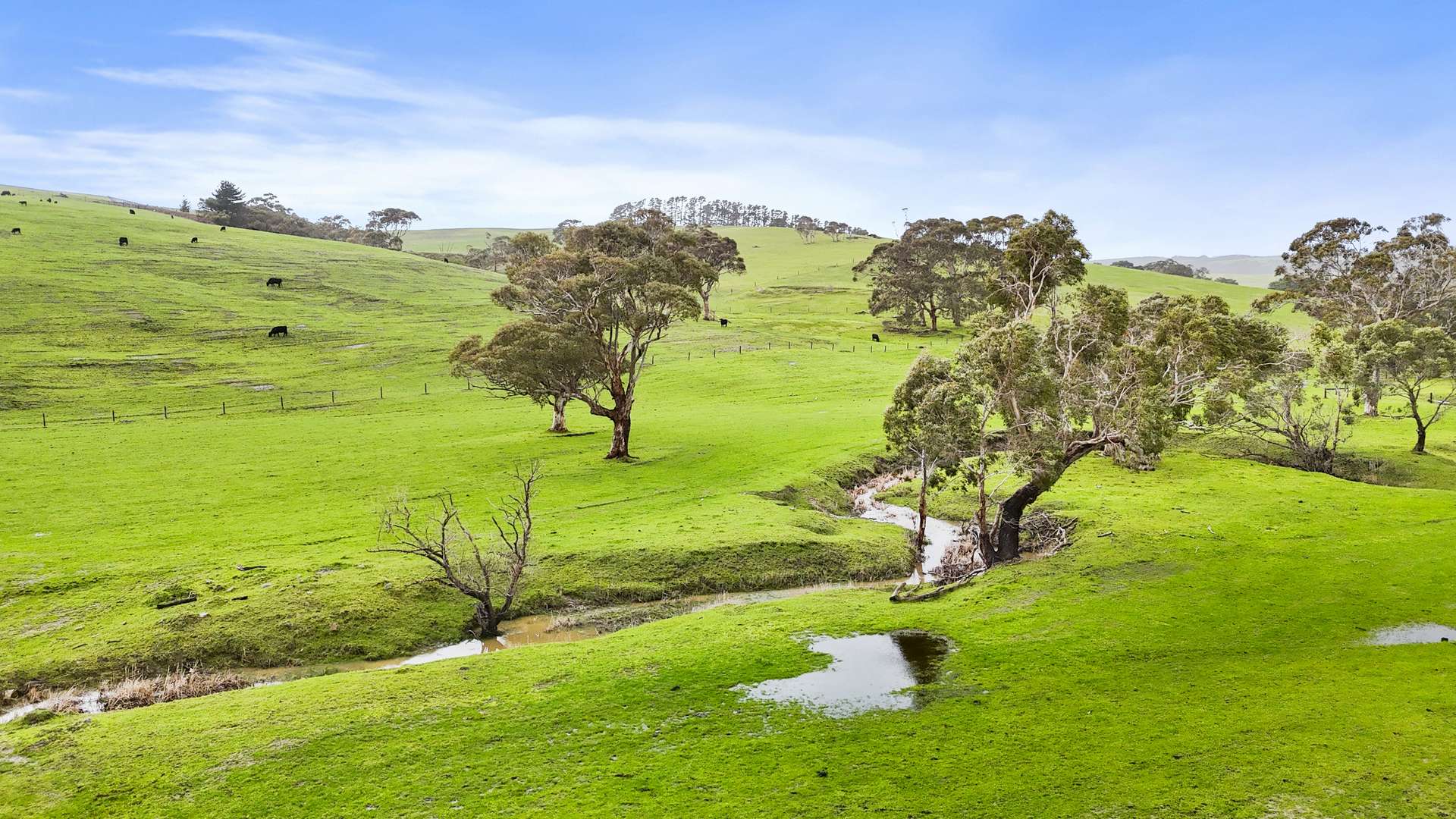 784 Back Valley Road, Back Valley For Sale by Farmbuy.com - image 22