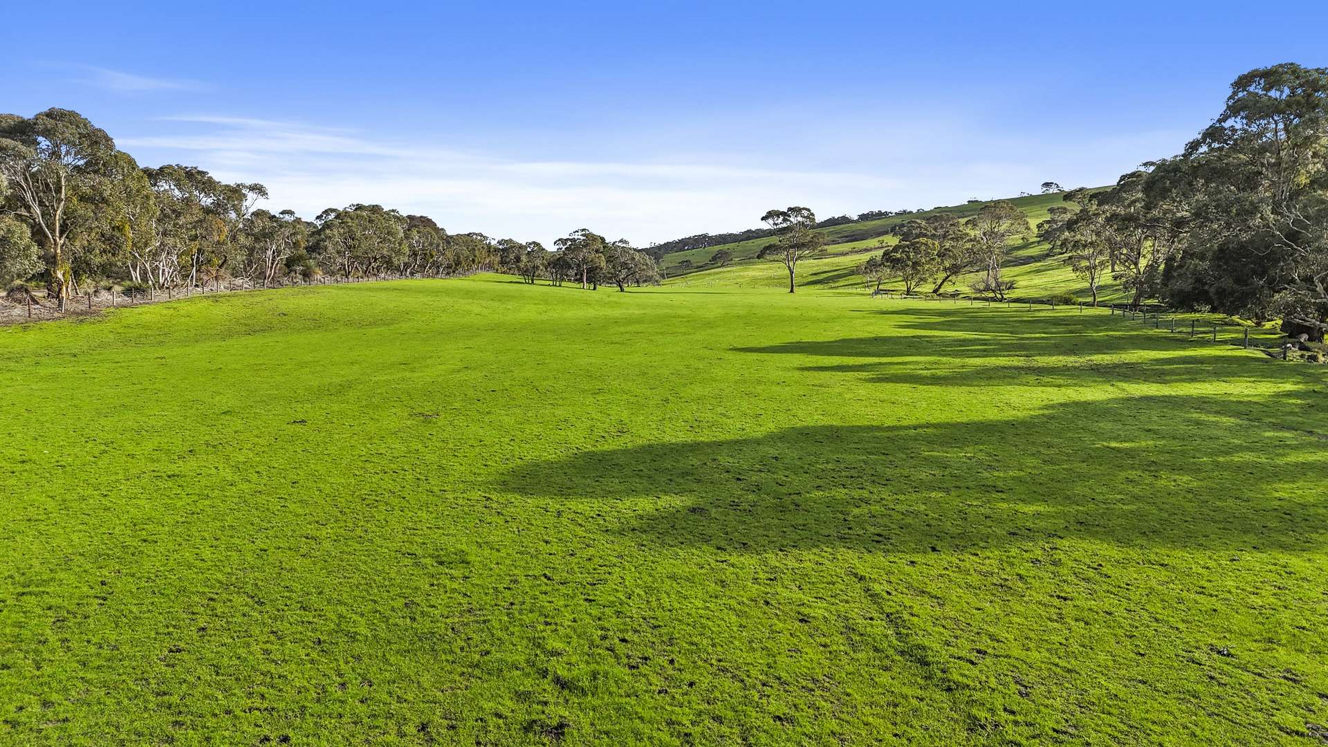 784 Back Valley Road, Back Valley For Sale by Farmbuy.com - image 7