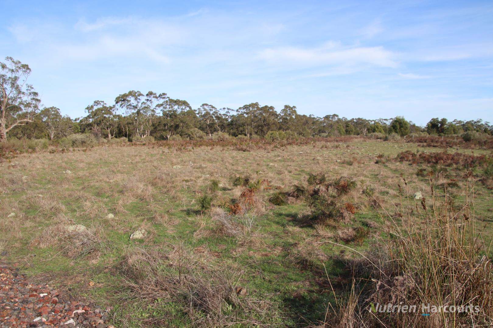 1805 Princes Highway, Pirron Yallock For Sale by Farmbuy.com - image 9