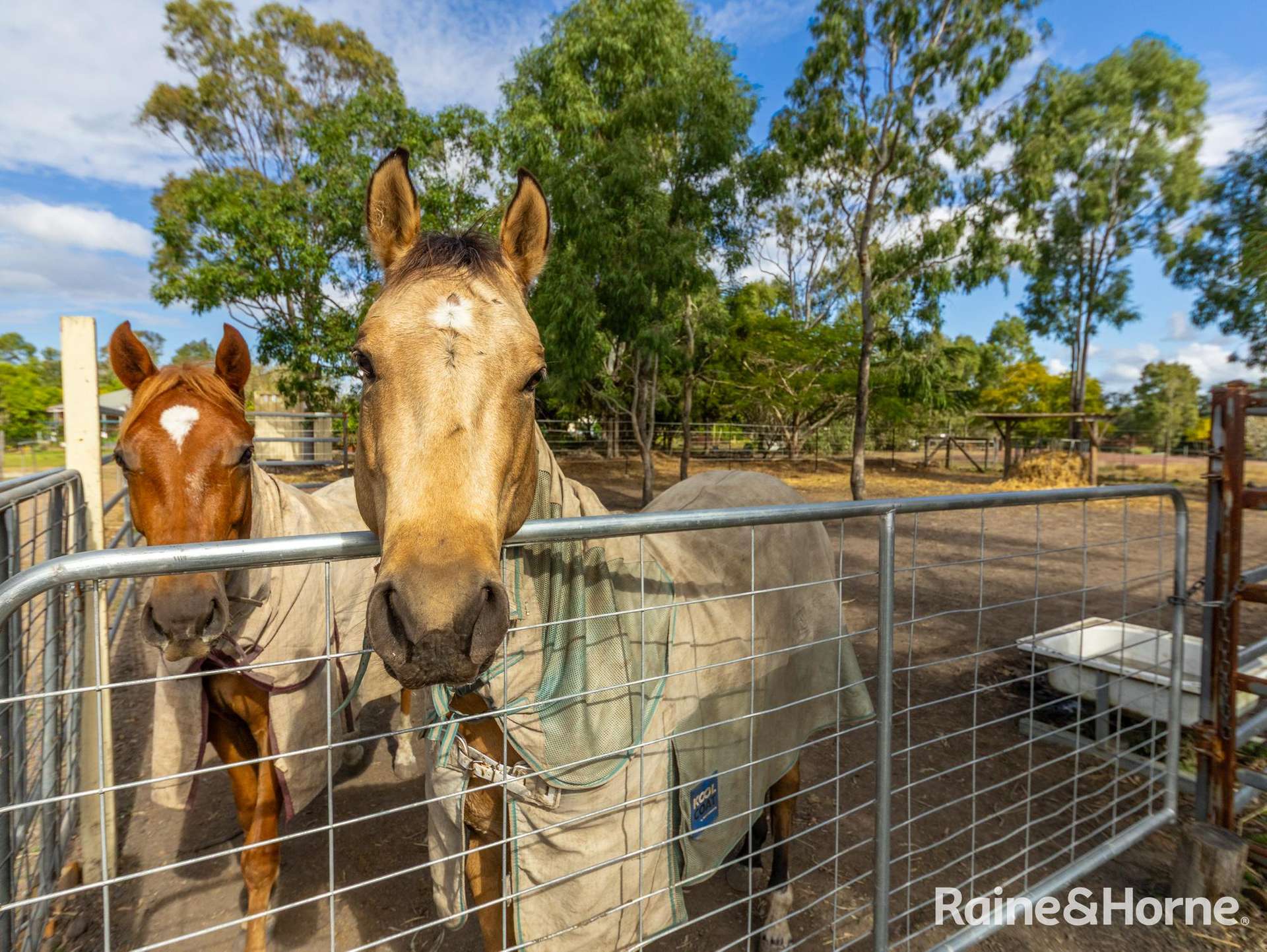 438 Three Chain Road, Woongarra Sold by Farmbuy.com - image 30