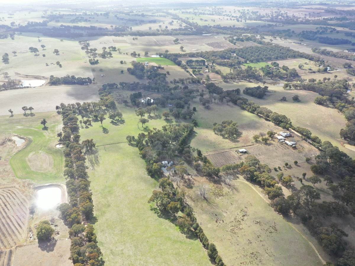 146 Bibaringa Road, Wombat Sold by Farmbuy.com - image 7