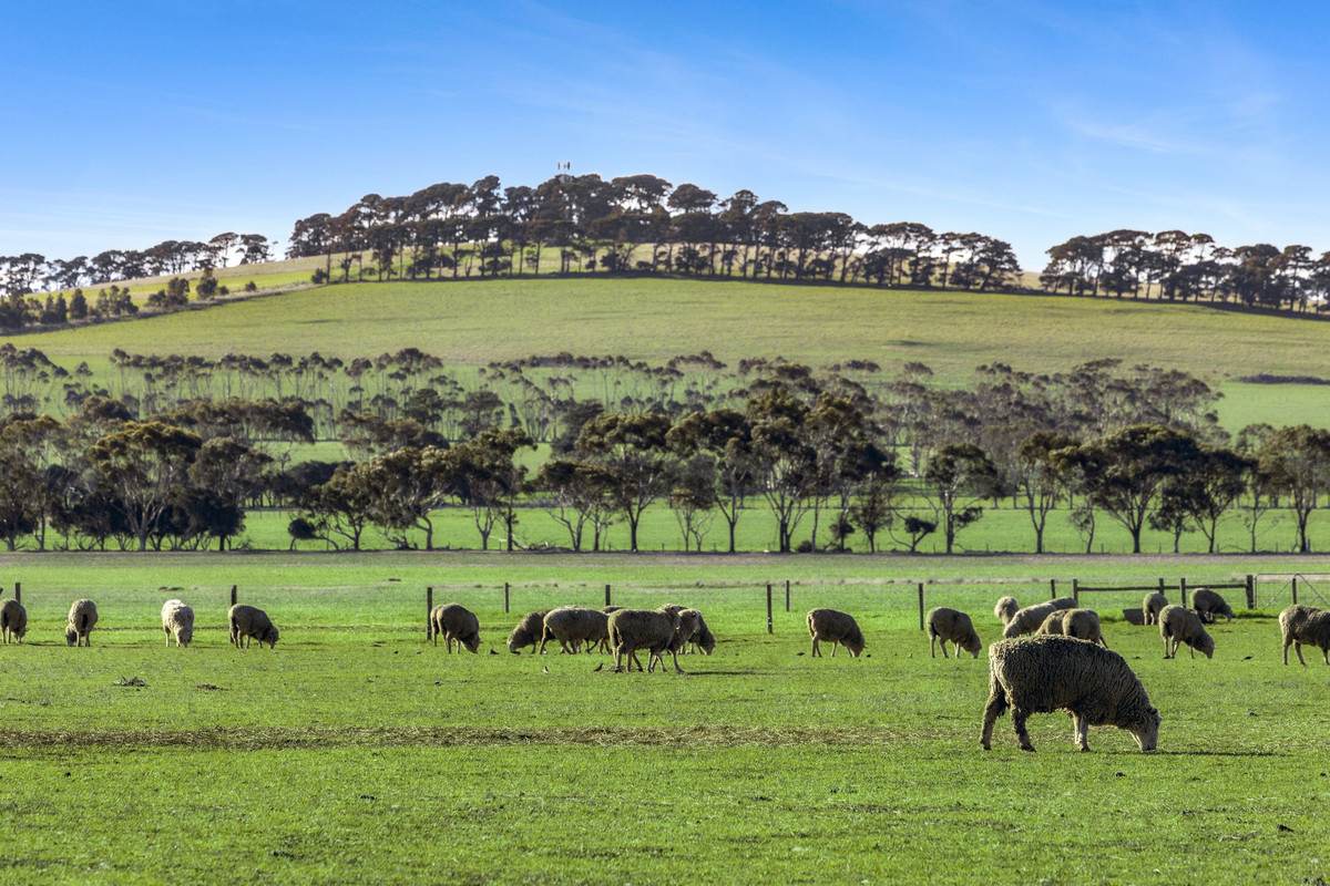 2125 Barrabool Road, Mount Moriac For Sale by Farmbuy.com - image 2