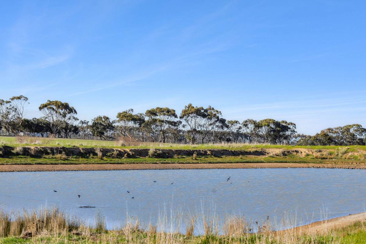 2125 Barrabool Road, Mount Moriac For Sale by Farmbuy.com - image 1