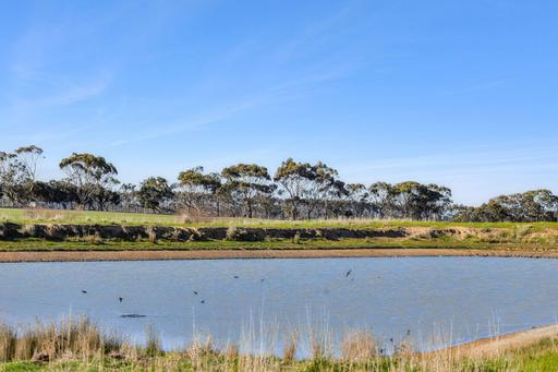 2125 Barrabool Road, Mount Moriac VIC 3240