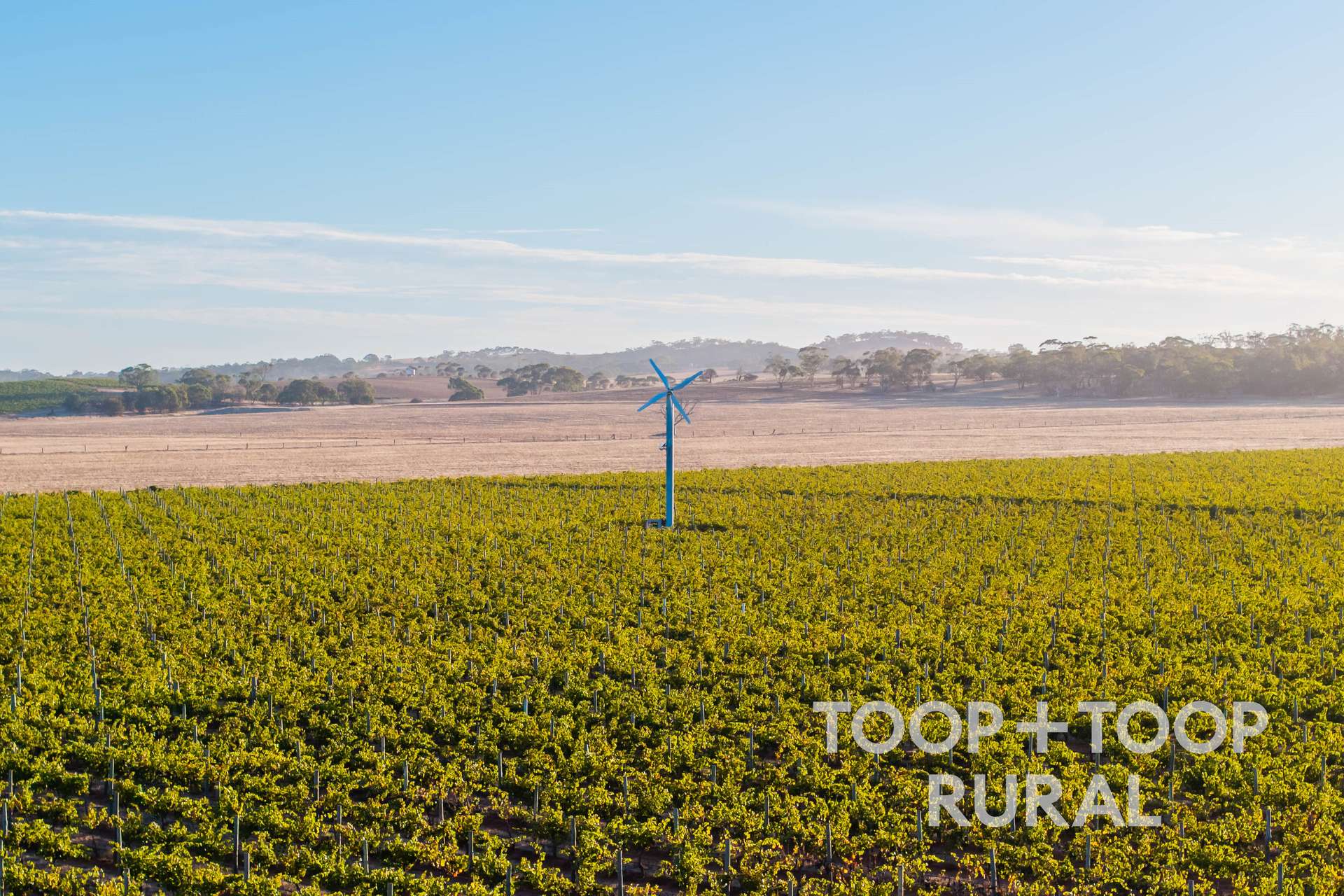 1404 Research Road, Ebenezer For Sale by Farmbuy.com - image 17
