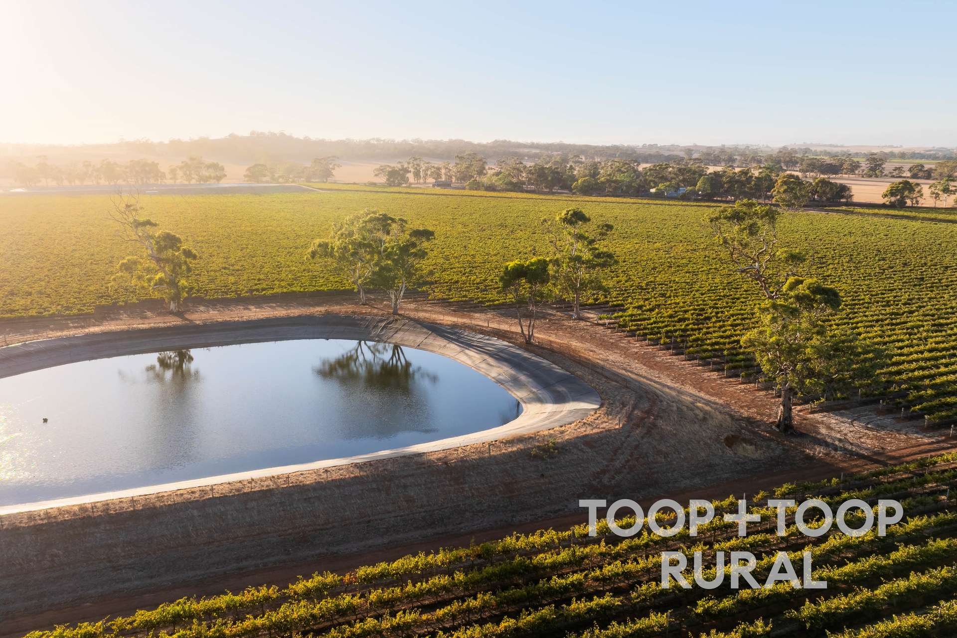 1404 Research Road, Ebenezer For Sale by Farmbuy.com - image 9