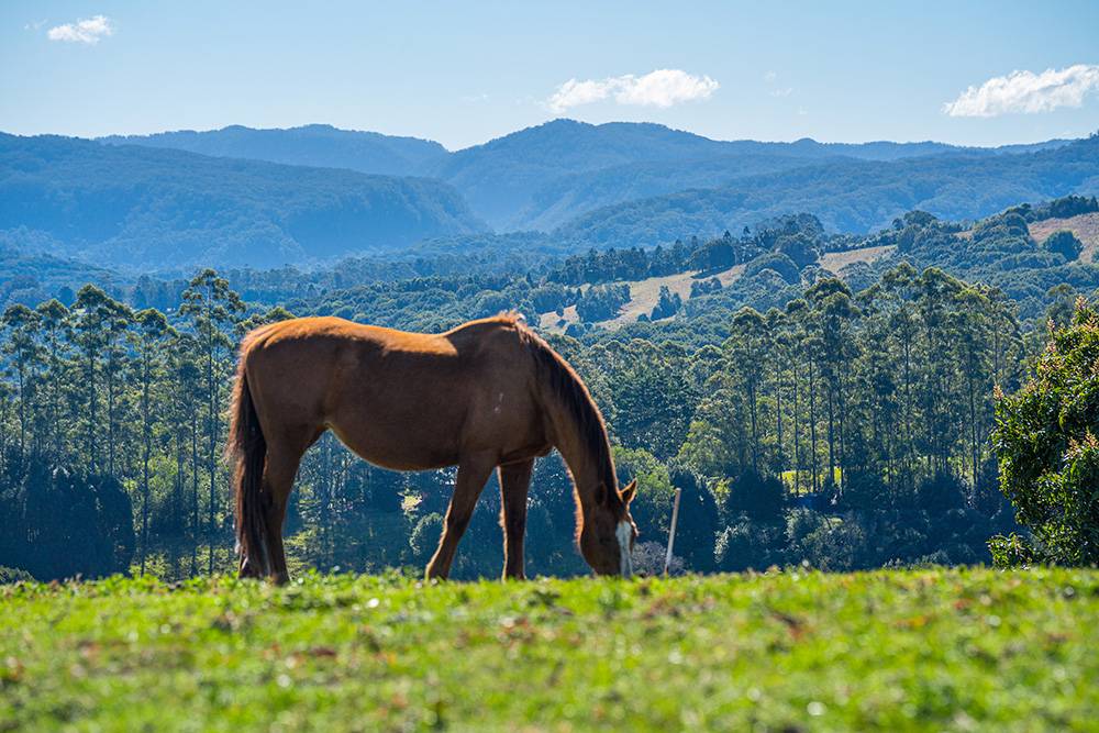 Lot 15, 149 Federal Drive, Eureka For Sale by Farmbuy.com - image 13