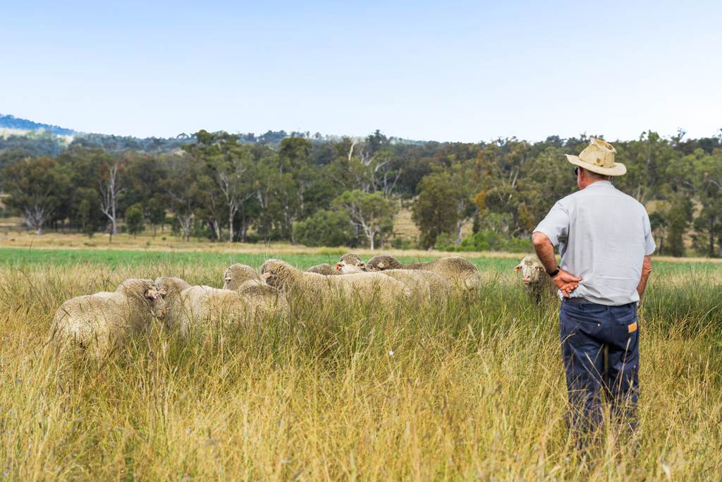 "Linallie" 2263 Greenup Limevale Road, Brush Creek QLD 4387