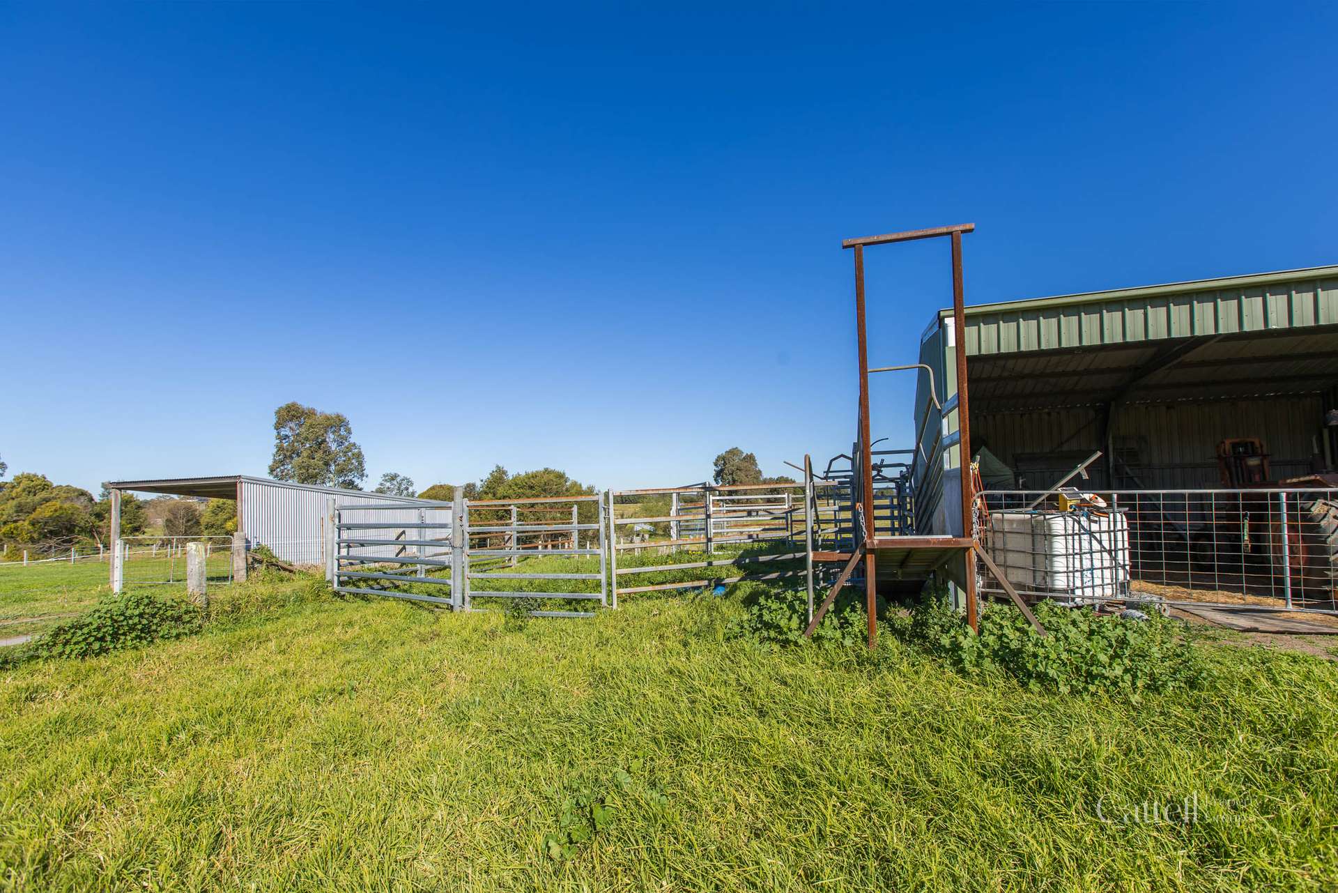 126 Glenarvon Road, Lorn Sold by Farmbuy.com - image 15