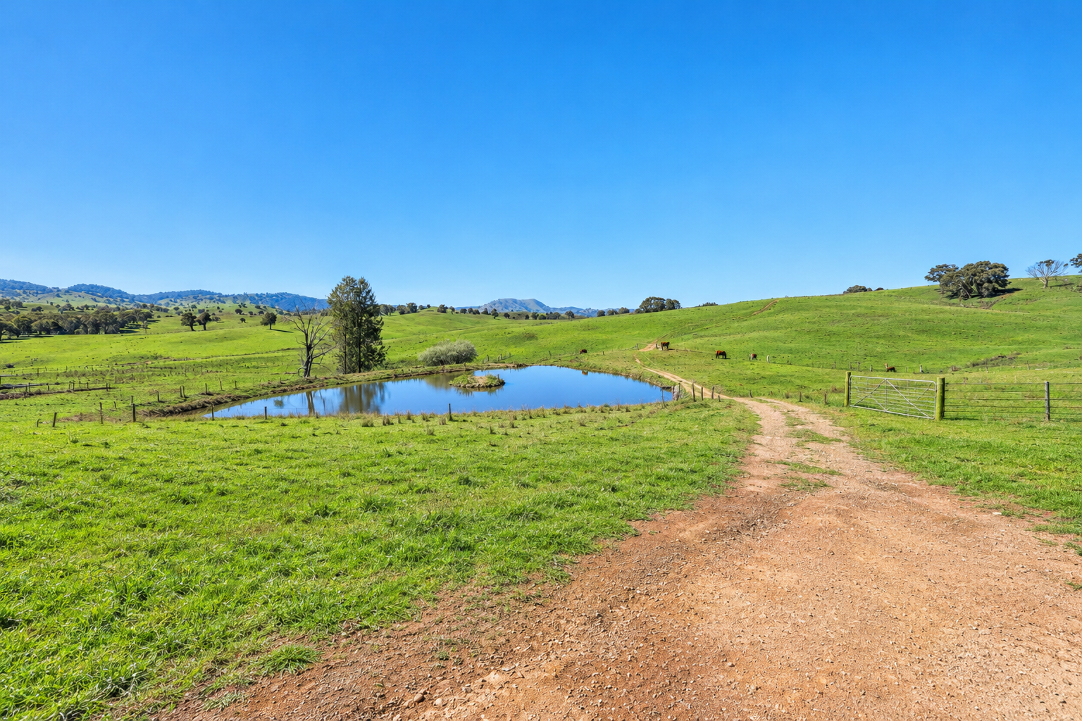 1072 Wee Jasper Road, Tumut For Sale by Farmbuy.com - image 25