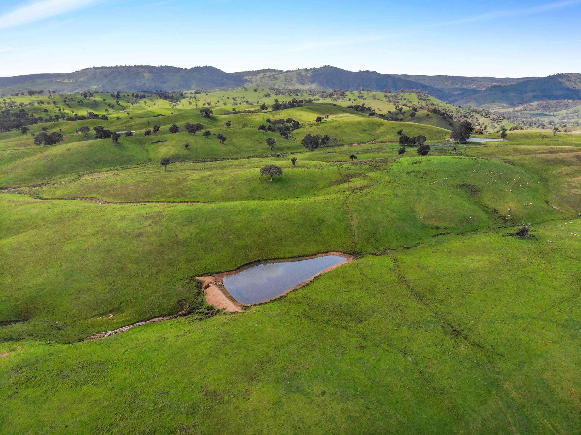 1072 Wee Jasper Road, Tumut For Sale by Farmbuy.com - image 3