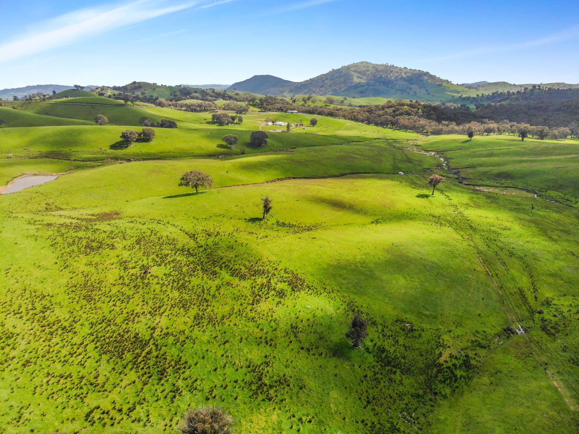 1072 Wee Jasper Road, Tumut For Sale by Farmbuy.com - image 30