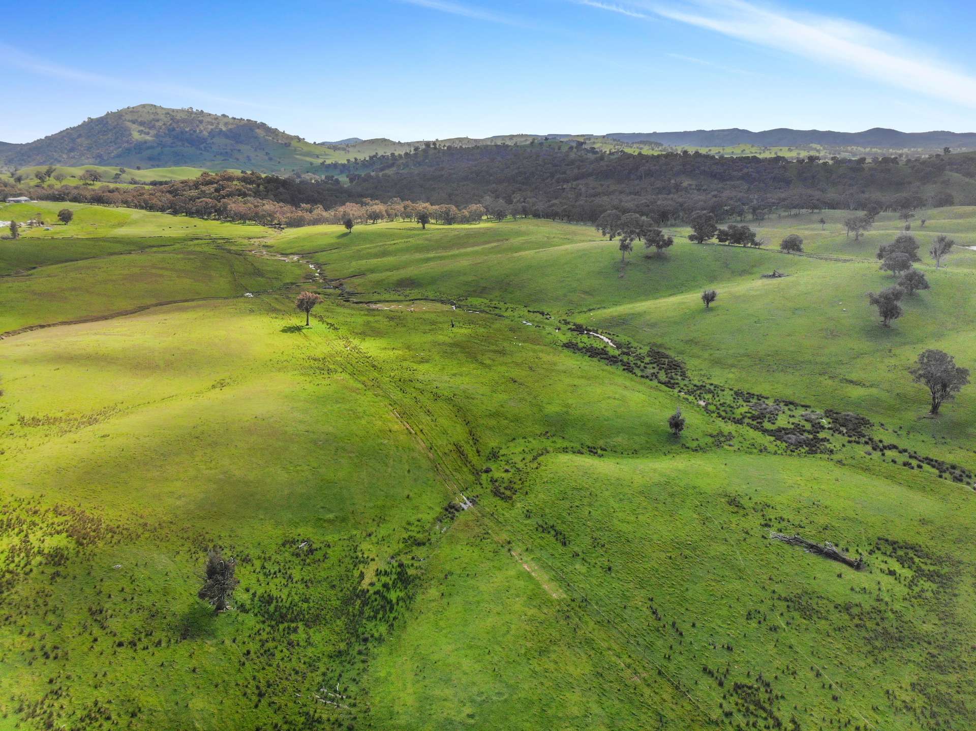 1072 Wee Jasper Road, Tumut For Sale by Farmbuy.com - image 29