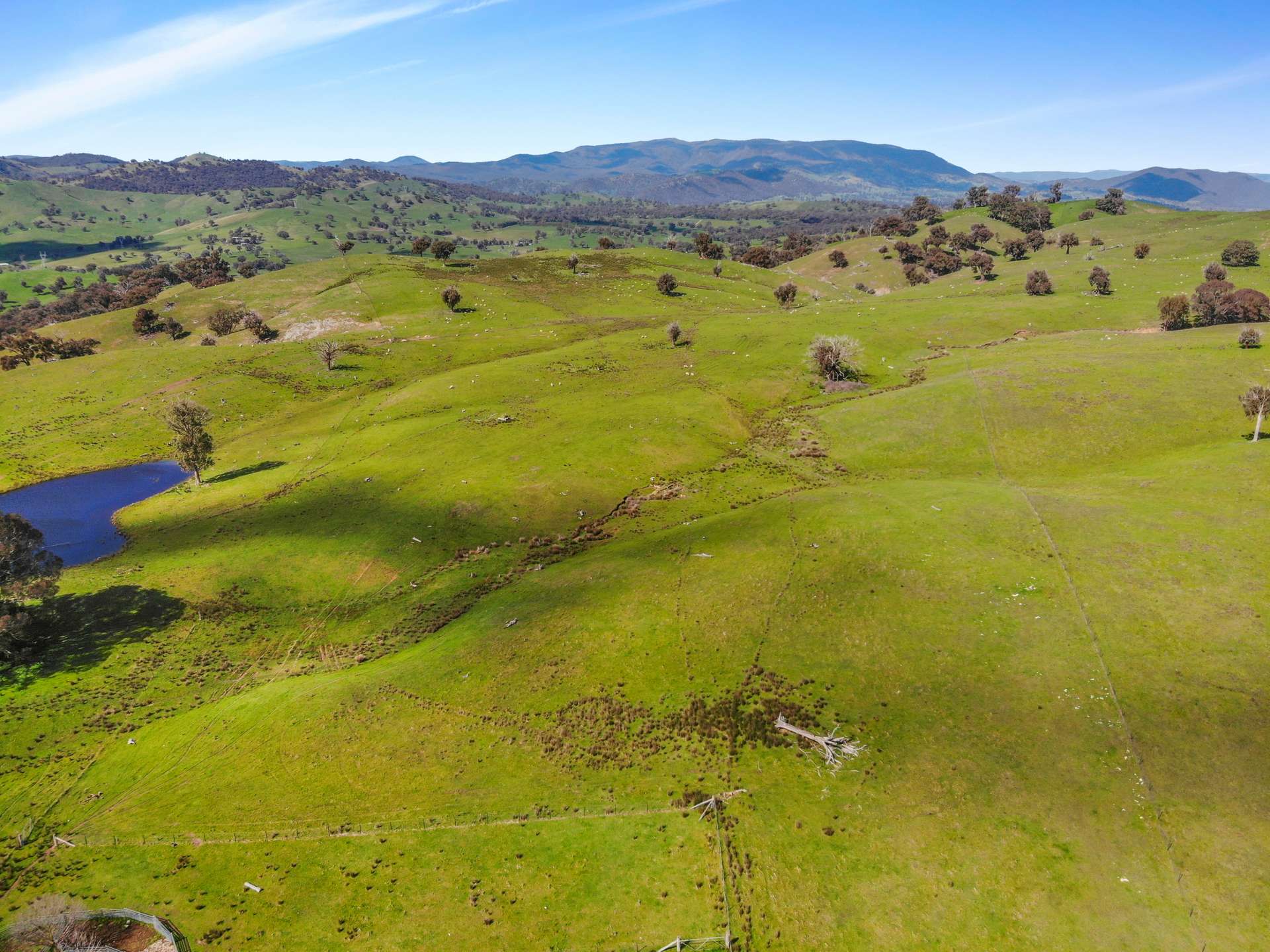 1072 Wee Jasper Road, Tumut For Sale by Farmbuy.com - image 28