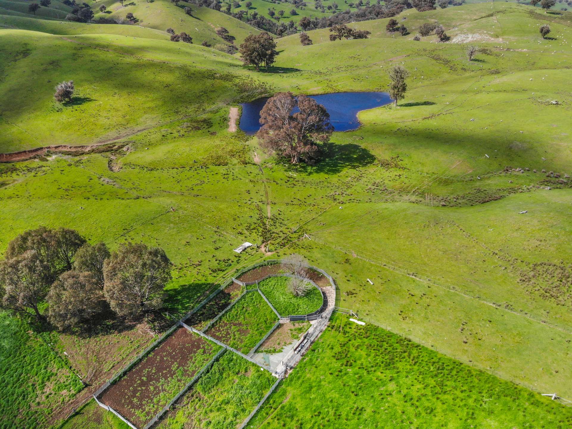 1072 Wee Jasper Road, Tumut For Sale by Farmbuy.com - image 27