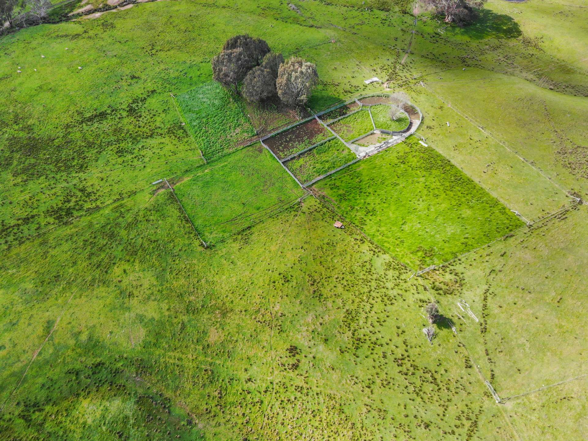 1072 Wee Jasper Road, Tumut For Sale by Farmbuy.com - image 26