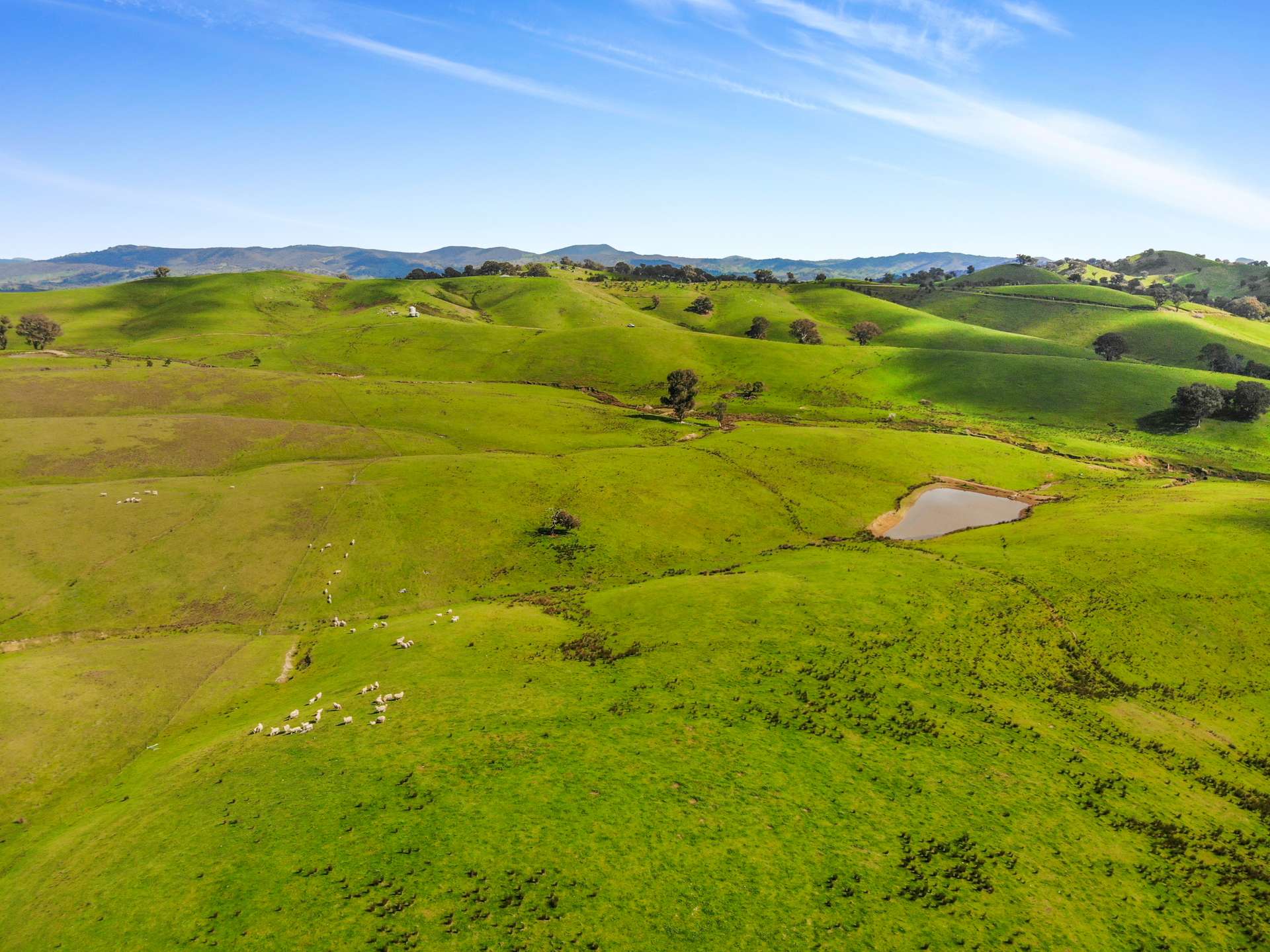 1072 Wee Jasper Road, Tumut For Sale by Farmbuy.com - image 31
