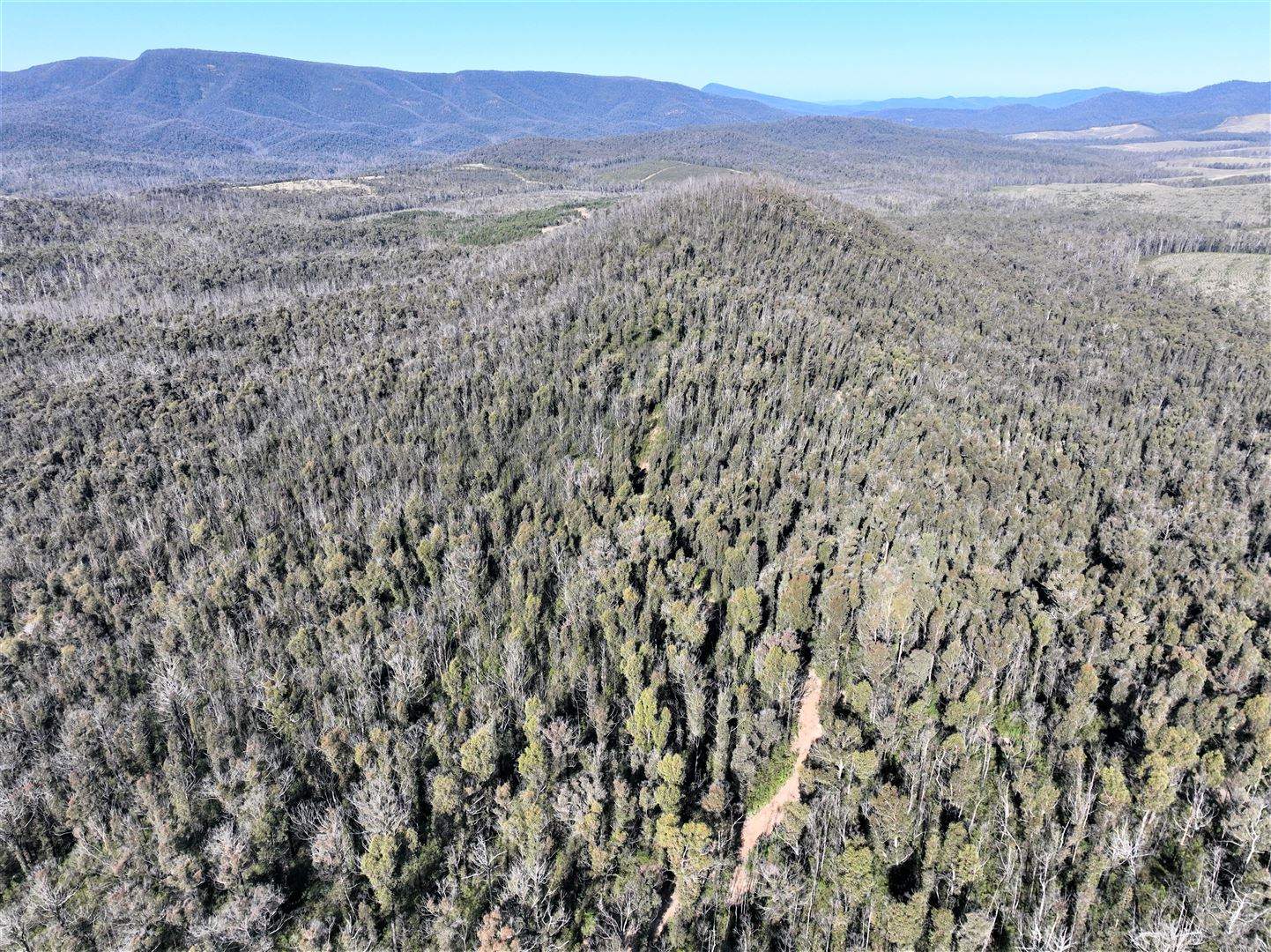 Lot 34, 35, 36 Monaro Highway, Rockton For Sale by Farmbuy.com - image 7