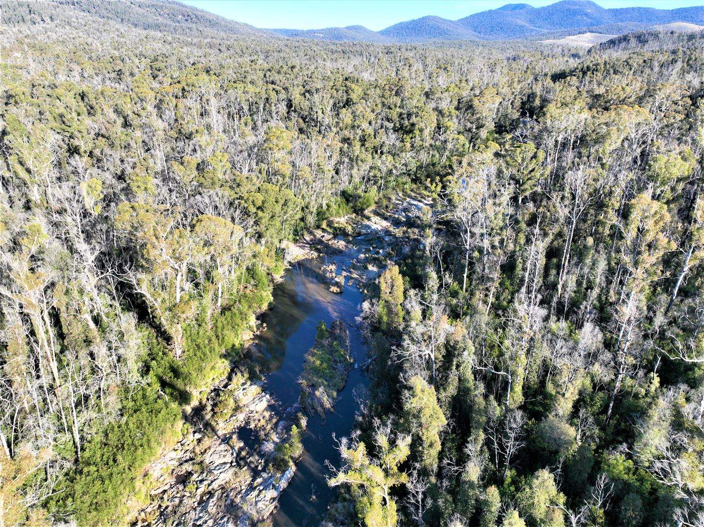 Lot 34, 35, 36 Monaro Highway, Rockton For Sale by Farmbuy.com - image 6