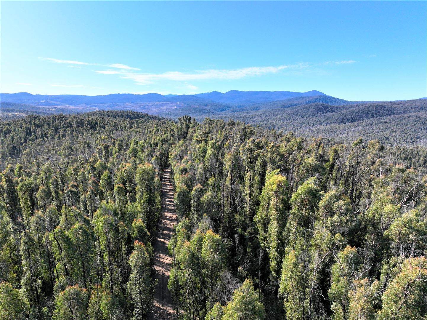 Lot 34, 35, 36 Monaro Highway, Rockton For Sale by Farmbuy.com - image 8