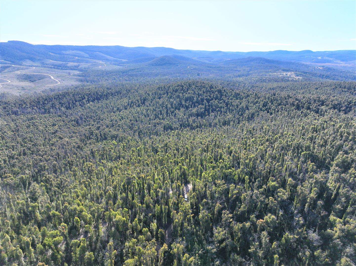 Lot 34, 35, 36 Monaro Highway, Rockton For Sale by Farmbuy.com - image 11