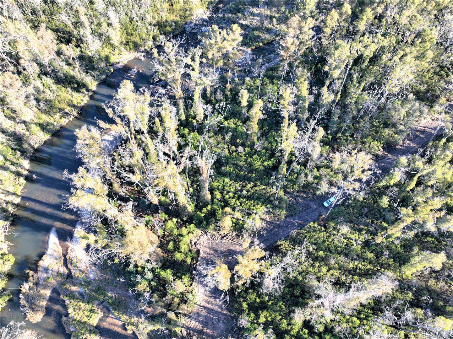 Lot 34, 35, 36 Monaro Highway, Rockton For Sale by Farmbuy.com - image 17