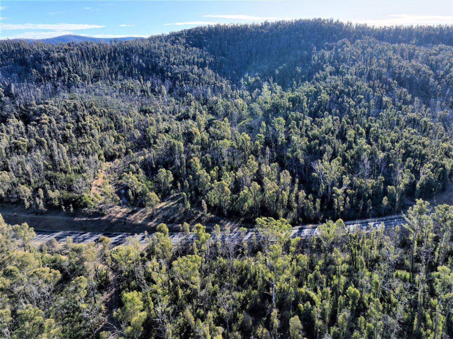 Lot 34, 35, 36 Monaro Highway, Rockton For Sale by Farmbuy.com - image 12