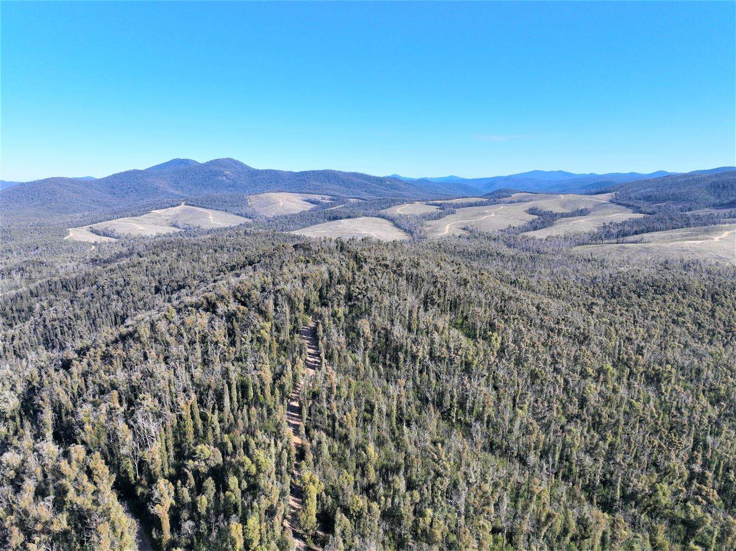 Lot 34, 35, 36 Monaro Highway, Rockton For Sale by Farmbuy.com - image 9