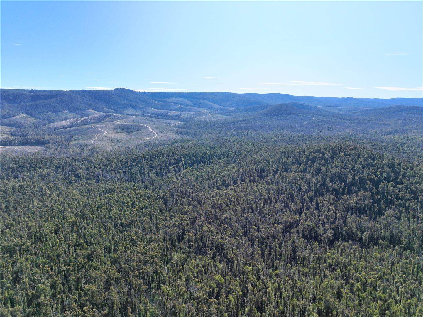 Lot 34, 35, 36 Monaro Highway, Rockton For Sale by Farmbuy.com - image 10