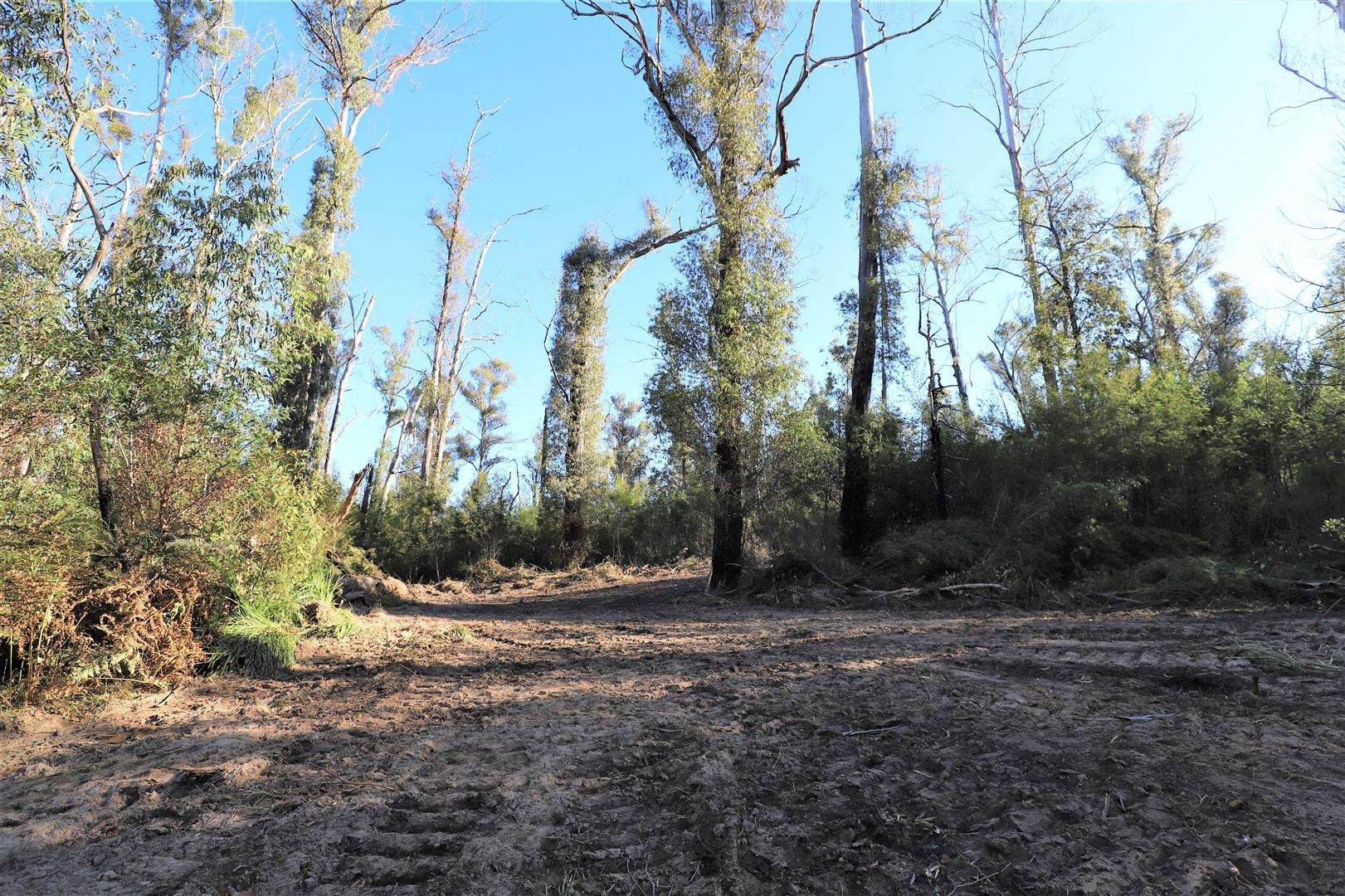 Lot 34, 35, 36 Monaro Highway, Rockton For Sale by Farmbuy.com - image 19