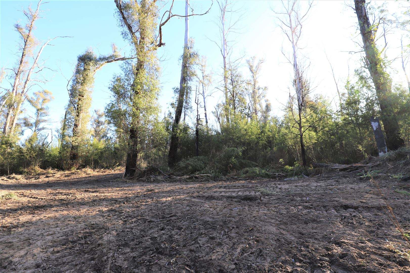 Lot 34, 35, 36 Monaro Highway, Rockton For Sale by Farmbuy.com - image 18