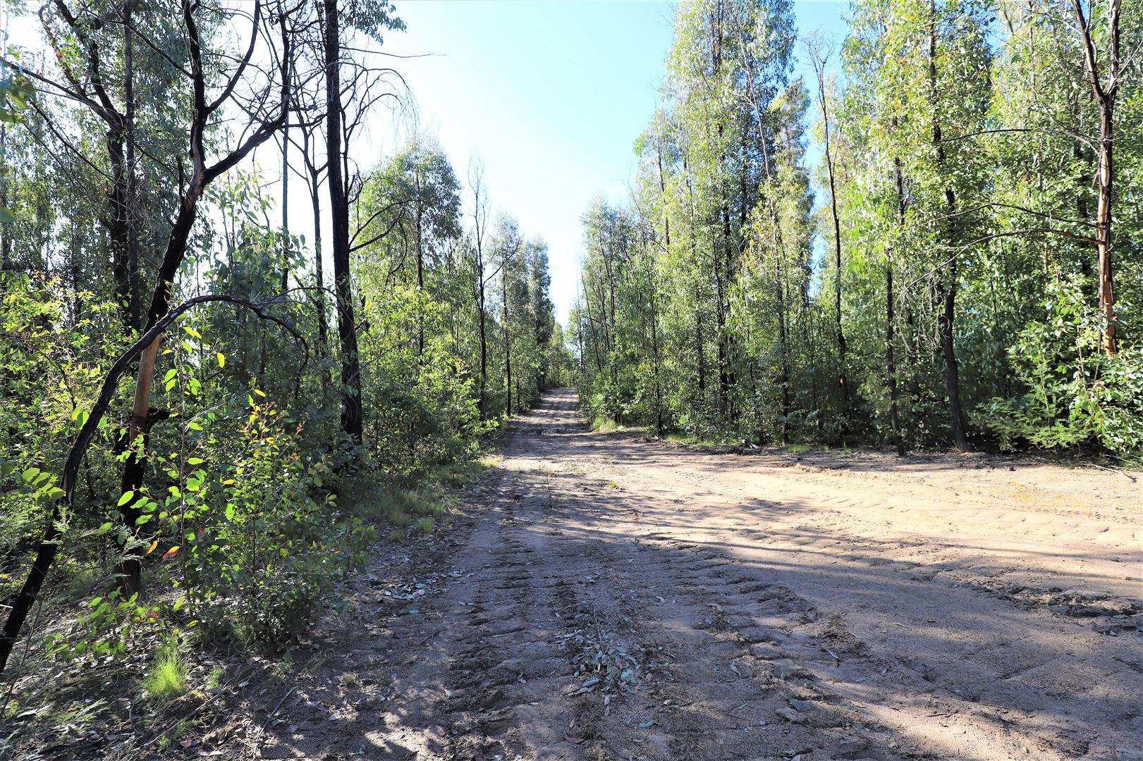 Lot 34, 35, 36 Monaro Highway, Rockton For Sale by Farmbuy.com - image 15