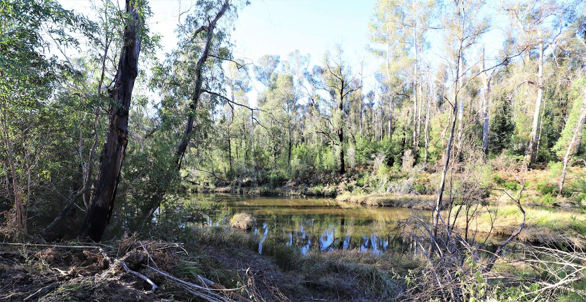 Lot 34, 35, 36 Monaro Highway, Rockton For Sale by Farmbuy.com - image 1