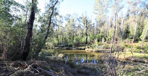 Lot 34&comma; 35&comma; 36 Monaro Highway, Rockton NSW 2632