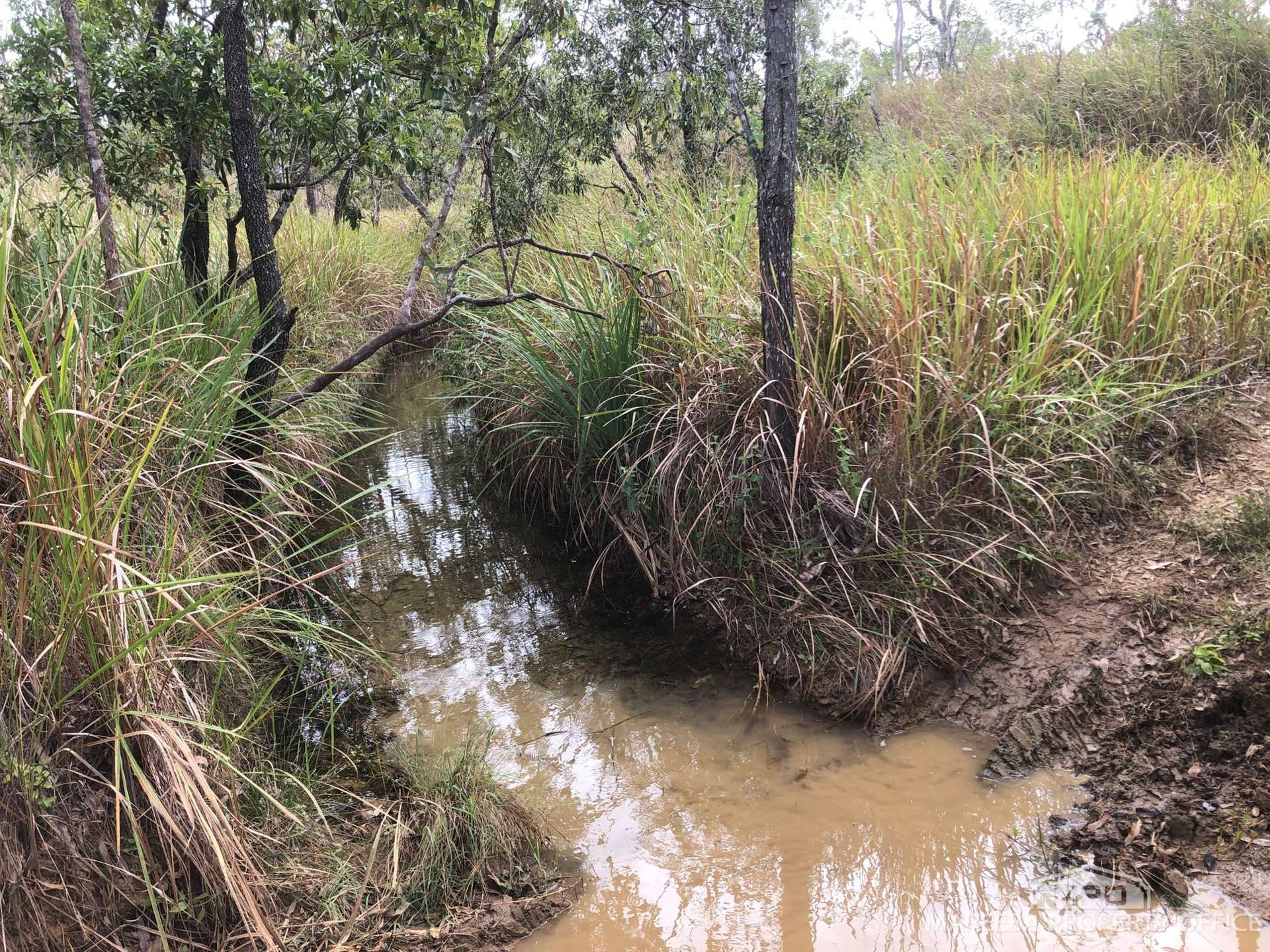 Lot 154 / 764 Hodzic Road, Biboohra For Sale by Farmbuy.com - image 5