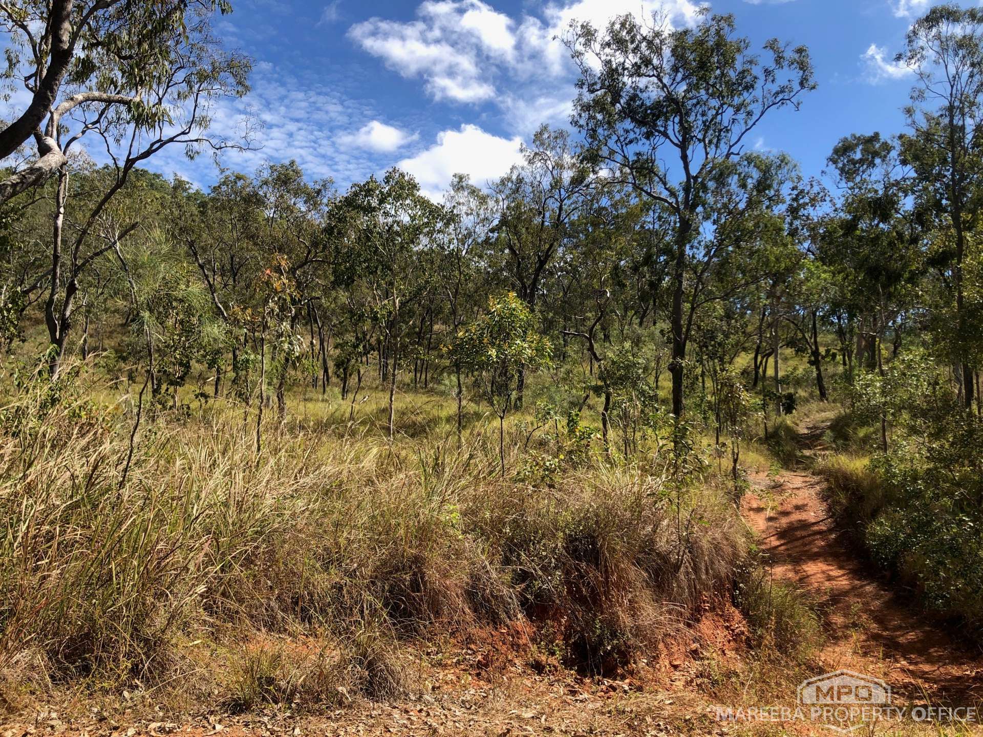Lot 154 / 764 Hodzic Road, Biboohra For Sale by Farmbuy.com - image 14