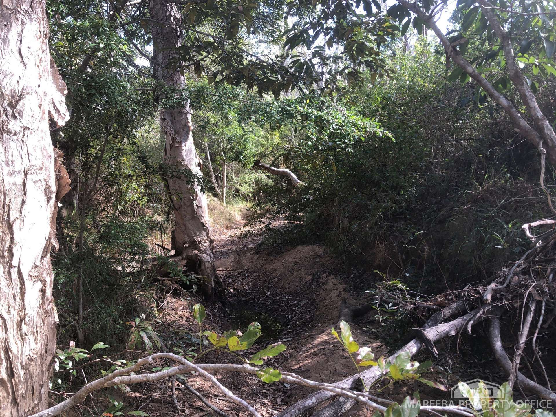 Lot 154 / 764 Hodzic Road, Biboohra For Sale by Farmbuy.com - image 11