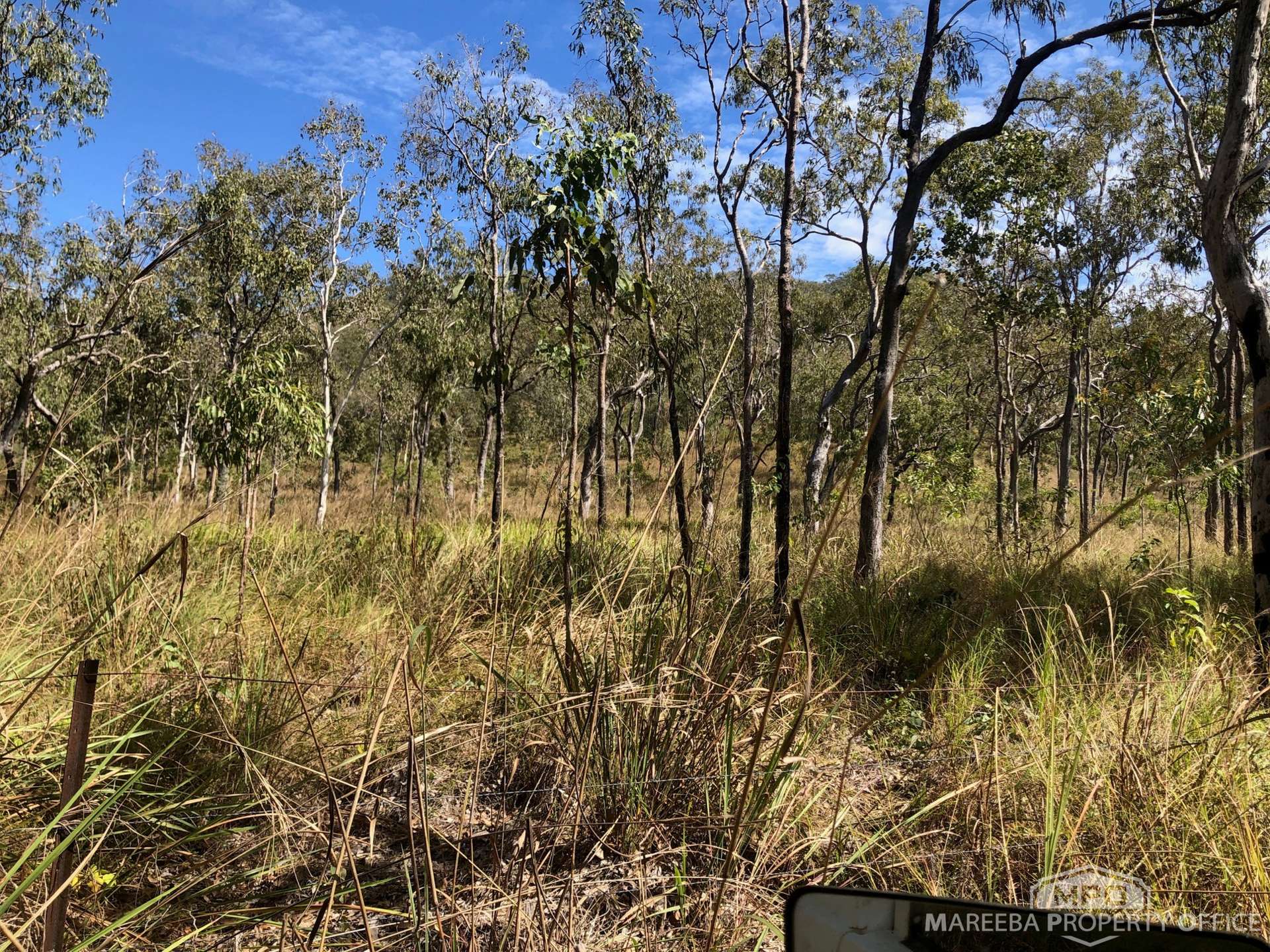 Lot 154 / 764 Hodzic Road, Biboohra For Sale by Farmbuy.com - image 12