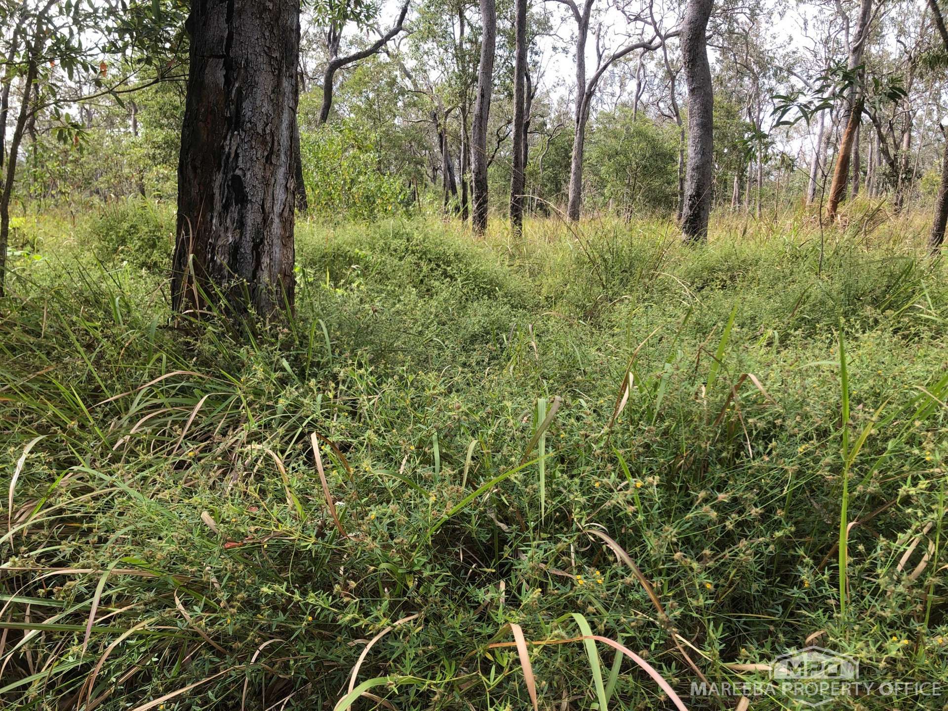 Lot 154 / 764 Hodzic Road, Biboohra For Sale by Farmbuy.com - image 6