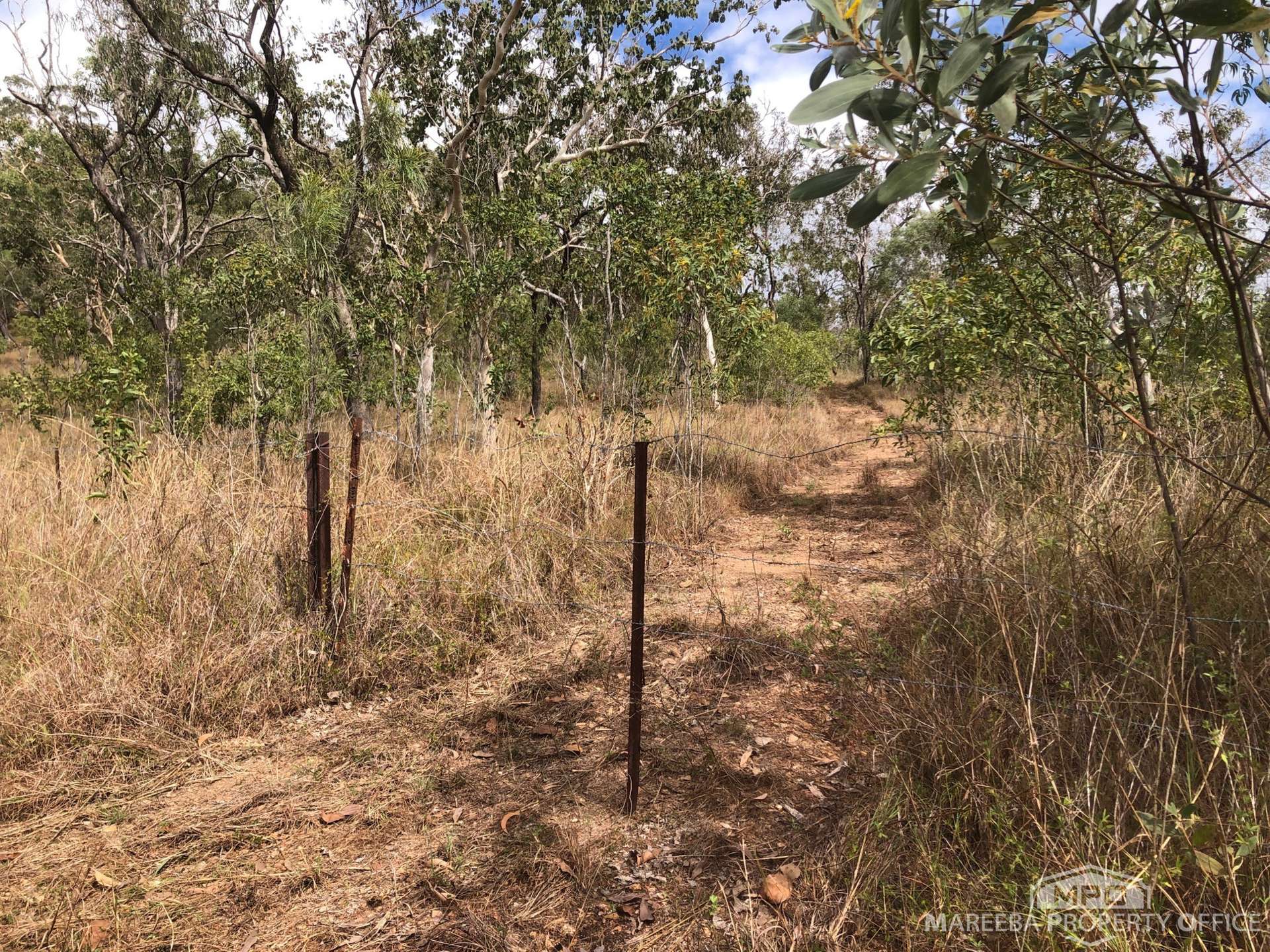 Lot 154 / 764 Hodzic Road, Biboohra For Sale by Farmbuy.com - image 9