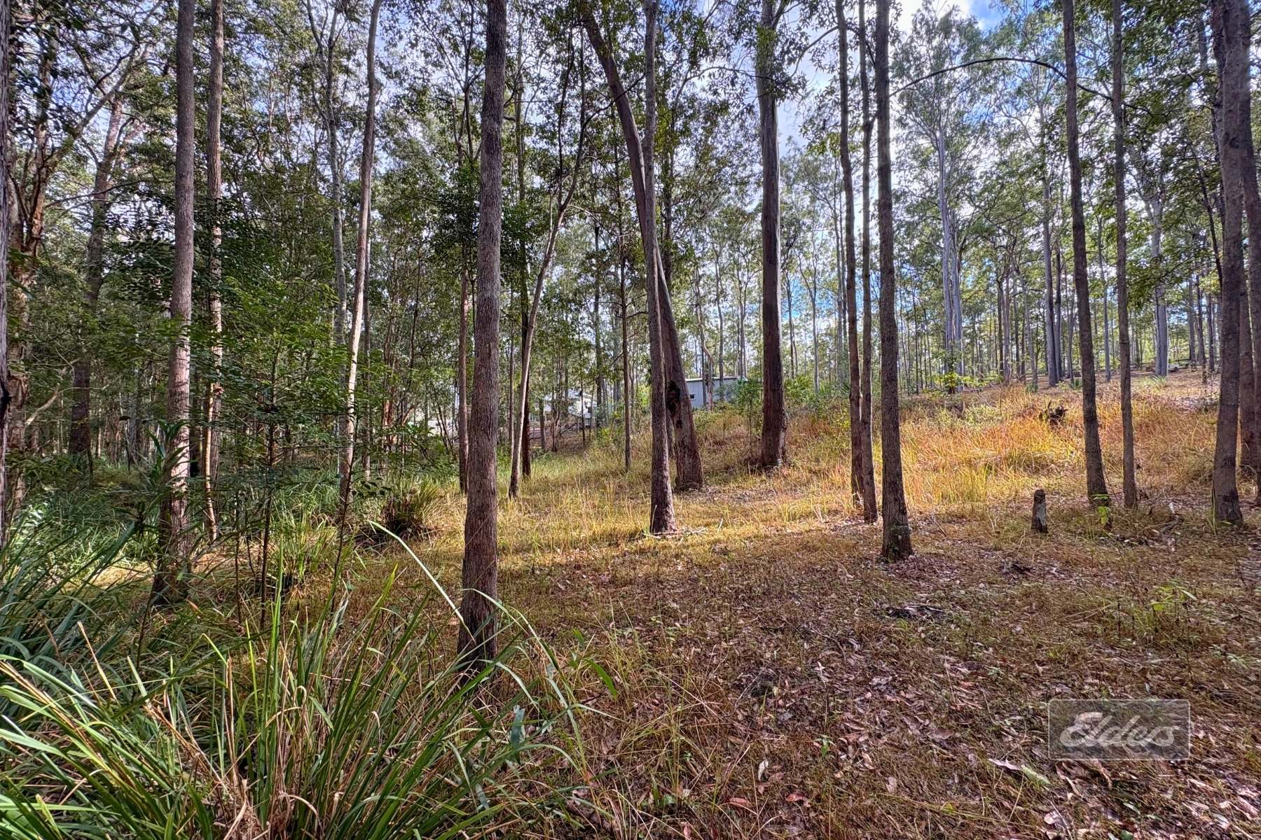 36 Arborthree Road, Glenwood For Sale by Farmbuy.com - image 17