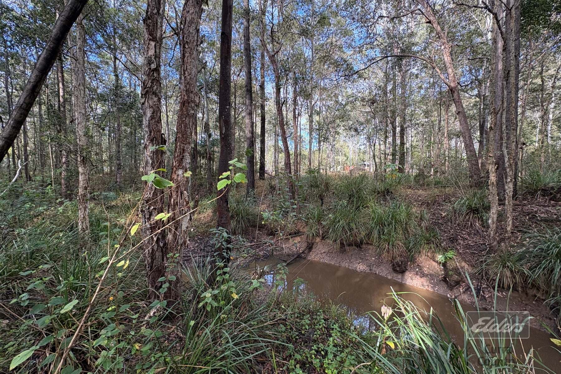 36 Arborthree Road, Glenwood For Sale by Farmbuy.com - image 20
