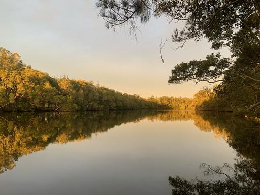 Farm For Sale - NSW - Moto - 2426 - Riverfront Opportunity 