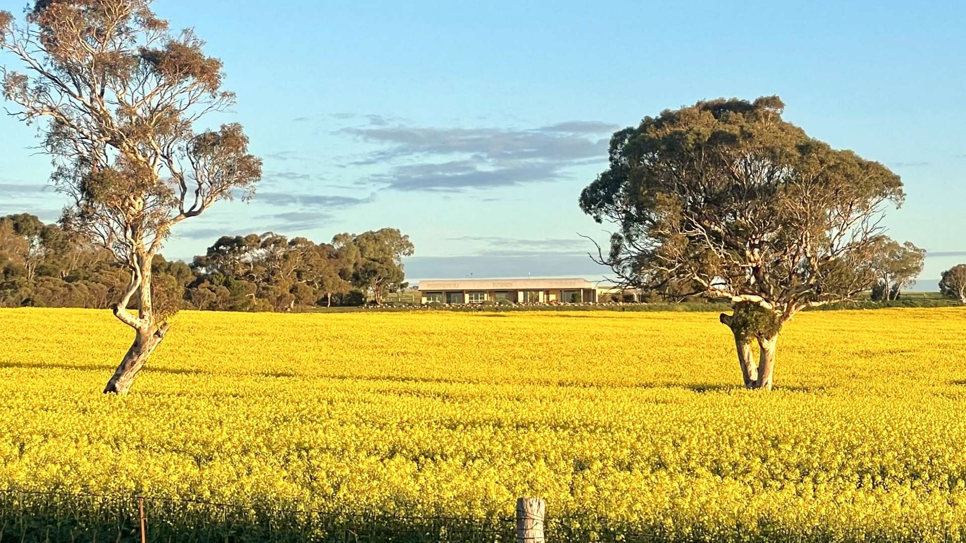 34 Bletchley Road, Strathalbyn Sold by Farmbuy.com - image 4